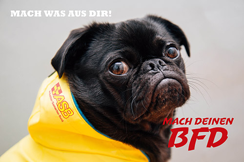 ASB_BFD_Werbung_2.jpg